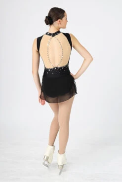 Mondor 2605 Shiny Nylon Sleeveless Dress -IceTrek Shop 02605 52 1 01194.1681254539