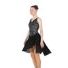 Jerry's 109 Midnight Minuet Dance Dress -IceTrek Shop 109Front 66476.1679955738